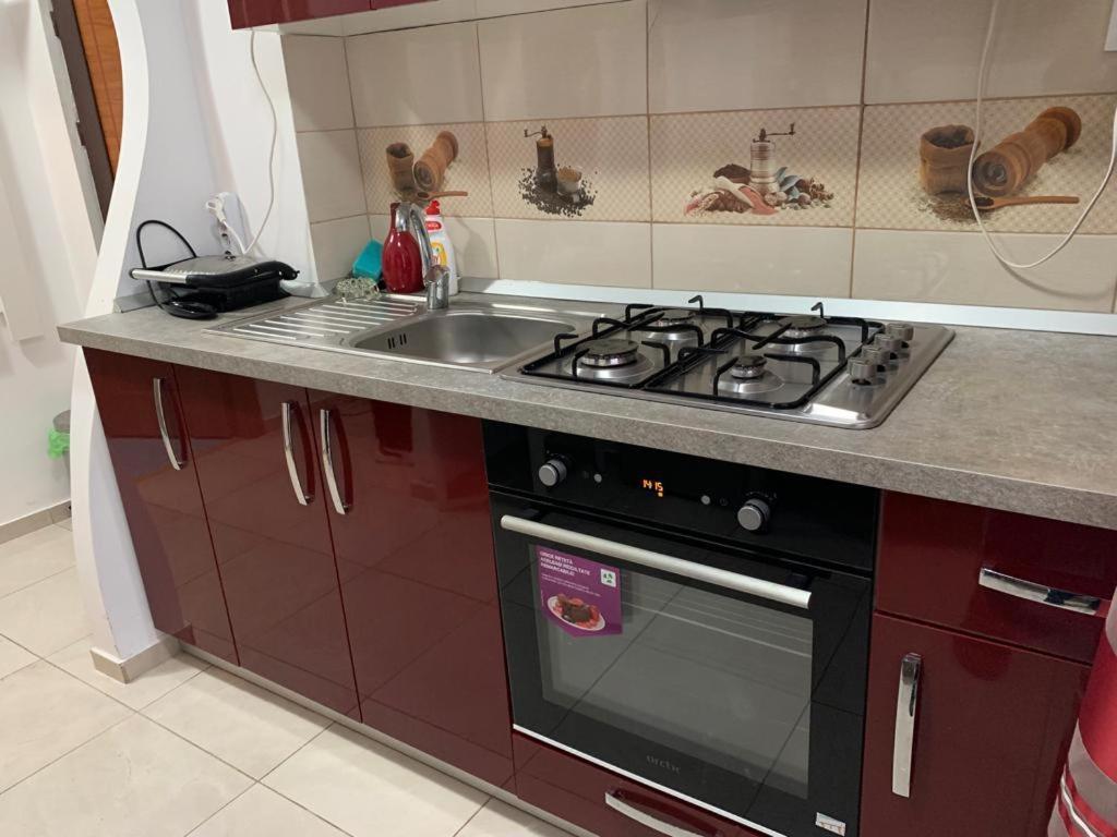Garsoniera Natalia Apartment Sibiu Ngoại thất bức ảnh